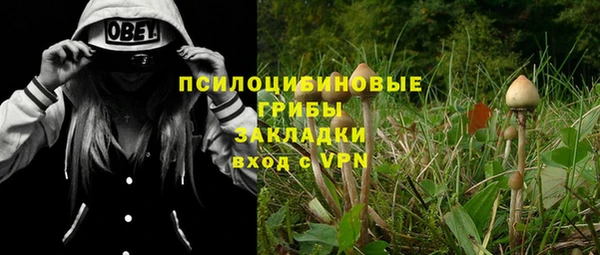 прущий лед Касимов