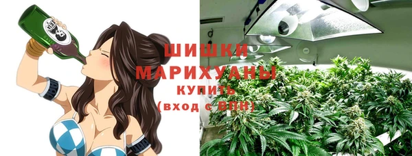 эйфоретик Сясьстрой