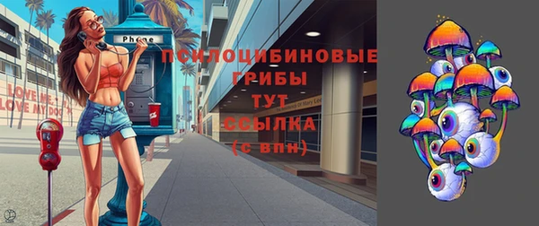 ешки Тайга